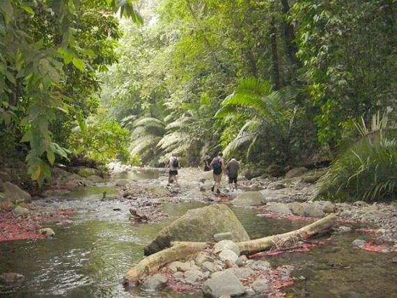 Darien Gap - El Choco Columbia - Atlas Obscura Blog