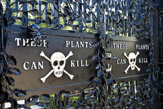 Alnwick Poison Gardens - Atlas Obscura