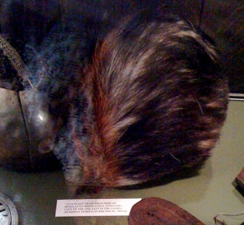 Yeti Scalp - Explorers Club NYC - Atlas Obscura Visit - Atlas Blog